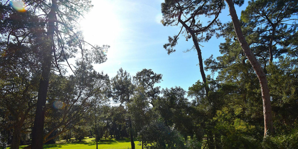 appartement à SOORTS HOSSEGOR (40150)